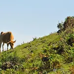 Casa rural La Riba *