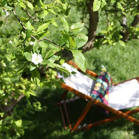 Gospodarstwo wiejskie La Riba Sames